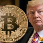 The Trump Family Trust Bought Bitcoin-Linked Stocks in First Quarter: Filing