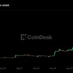 Zcash jumps 48% to over $800 as Grayscale spot ETF push adds to ‘next bitcoin’ buzz
