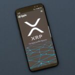XRP Ledger has fewer active accounts than last year, but bigger trades and more value