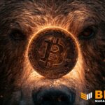 Bitcoin Bear Market May Not Yet Be Over, Says Fidelity