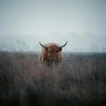 Bitcoin’s 44% gain in third quarter teases full-blown crypto bull run