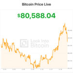 Strategy (MSTR) Pauses Bitcoin Buying and Spends $205 Million on Preferred Stock